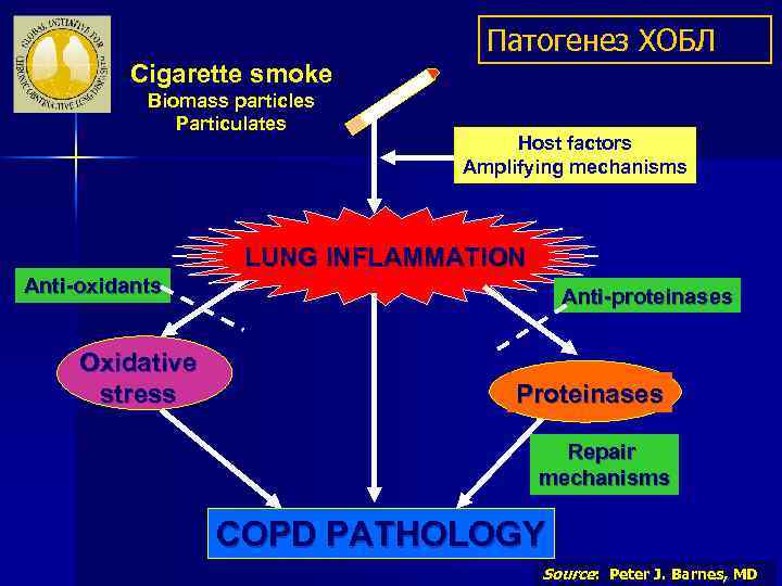 Патогенез ХОБЛ Cigarette smoke Biomass particles Particulates Host factors Amplifying mechanisms LUNG INFLAMMATION Anti-oxidants