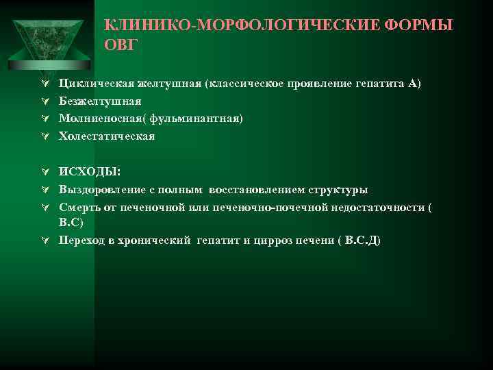 КЛИНИКО-МОРФОЛОГИЧЕСКИЕ ФОРМЫ ОВГ Ú Циклическая желтушная (классическое проявление гепатита А) Ú Безжелтушная Ú Молниеносная(