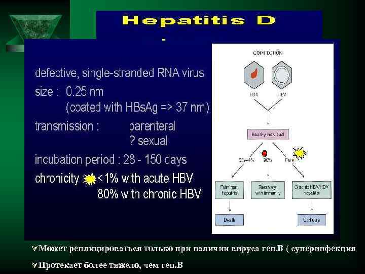 ÚМожет реплицироваться только при наличии вируса геп. В ( суперинфекция ÚПротекает более тяжело, чем