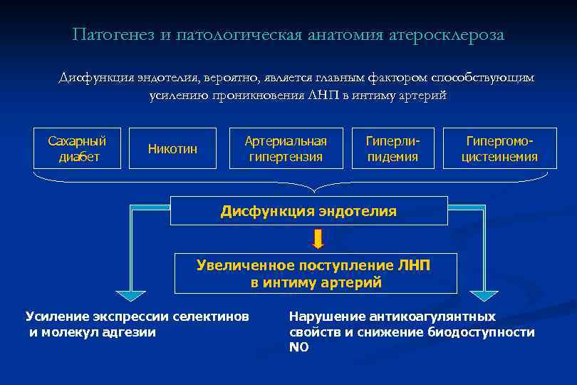 Атеросклероз патогенез лечение