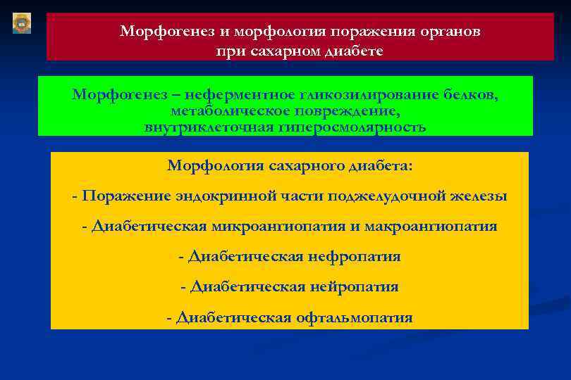 Морфогенез и морфология поражения органов при сахарном диабете Морфогенез – неферментное гликозилирование белков, метаболическое