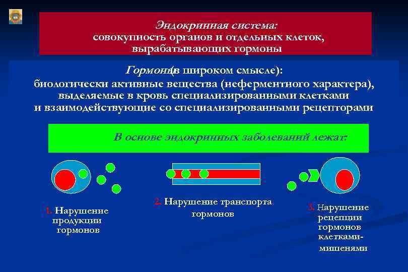 Заболевания гипоталамо гипофизарной системы эндокринология презентация