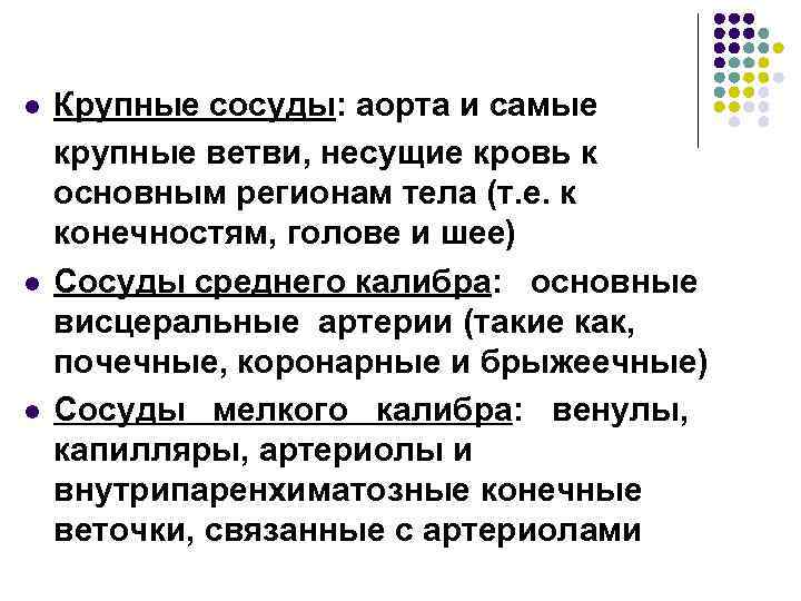 l l l Крупные сосуды: аорта и самые крупные ветви, несущие кровь к основным