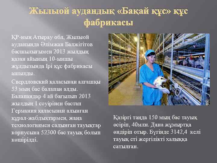 Жылыой аудандық «Бақай құс» құс фабрикасы ҚР-ның Атырау обл, Жылыой ауданында Әлімжан Балжігітов басшылығымен