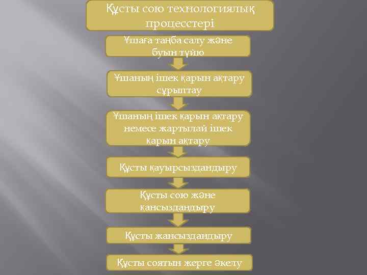 Құсты сою технологиялық процесстері Ұшаға таңба салу және буын түйю Ұшаның ішек қарын ақтару