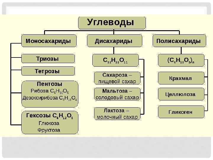 УГЛЕВОДЫ 