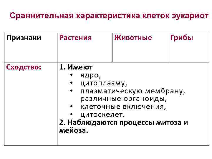 Сравнительная характеристика клеток эукариот Признаки Растения Животные Грибы Сходство: 1. Имеют • ядро, •