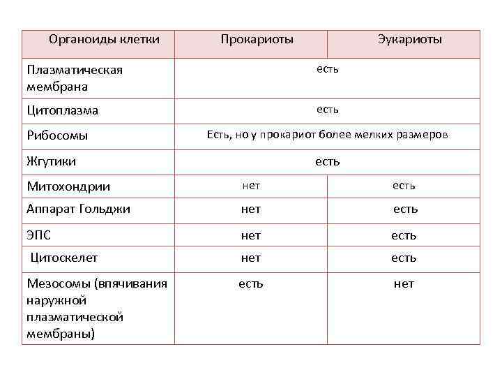 Органоиды клетки Прокариоты Эукариоты Плазматическая мембрана есть Цитоплазма есть Рибосомы Есть, но у прокариот