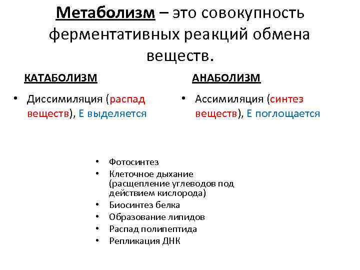 Метаболизм – это совокупность ферментативных реакций обмена веществ. КАТАБОЛИЗМ • Диссимиляция (распад веществ), Е