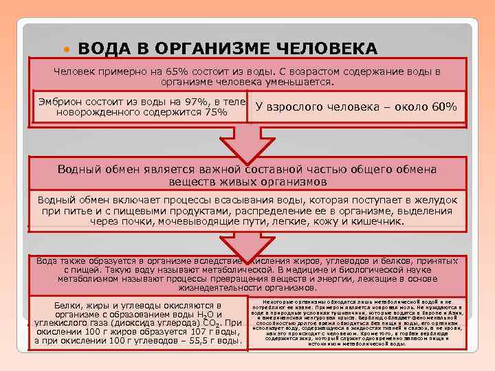  ВОДА В ОРГАНИЗМЕ ЧЕЛОВЕКА Человек примерно на 65% состоит из воды. С возрастом