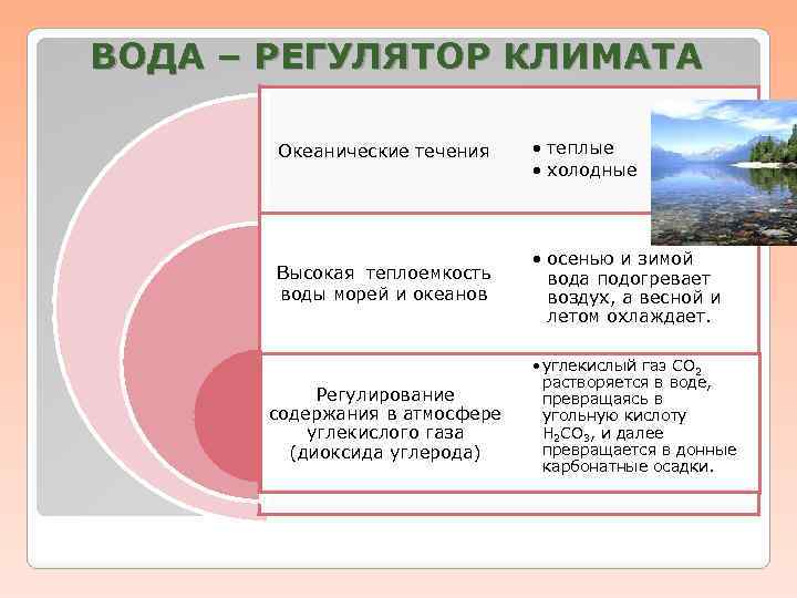 ВОДА – РЕГУЛЯТОР КЛИМАТА Океанические течения Высокая теплоемкость воды морей и океанов Регулирование содержания