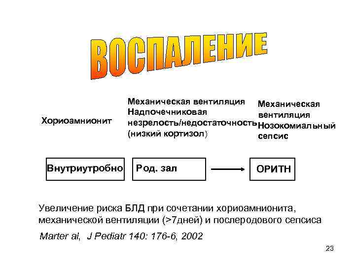 Хориоамнионит Внутриутробно Механическая вентиляция Механическая Надпочечниковая вентиляция незрелость/недостаточность Нозокомиальный (низкий кортизол) сепсис Род. зал