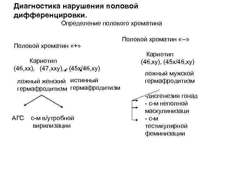 Диагностика нарушения половой дифференцировки. Определение полового хроматина Половой хроматин «+» Кариотип (46, хх), (47,