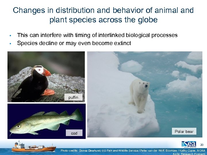 Changes in distribution and behavior of animal and plant species across the globe §