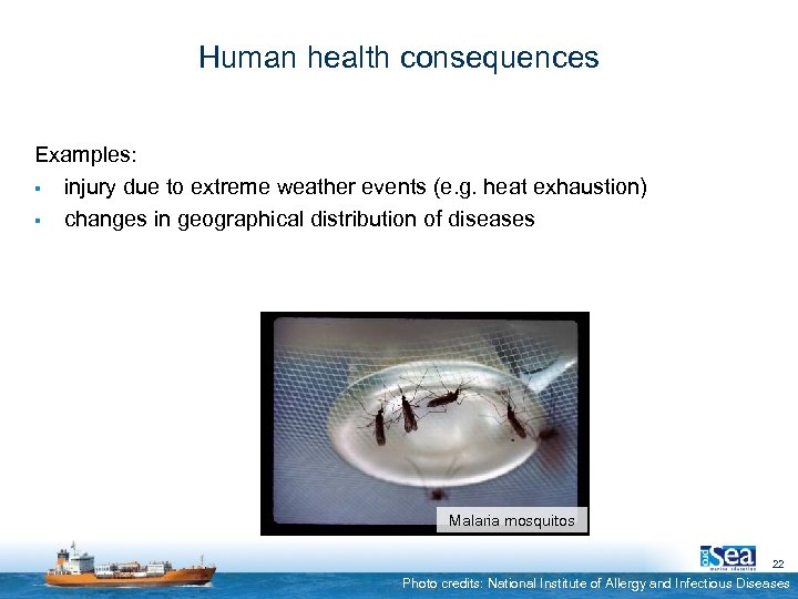 Human health consequences Examples: § injury due to extreme weather events (e. g. heat