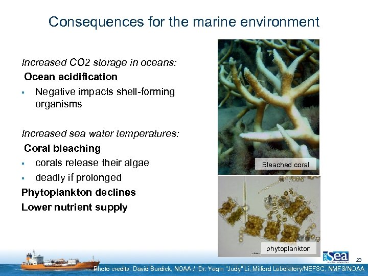 Consequences for the marine environment Increased CO 2 storage in oceans: Ocean acidification §