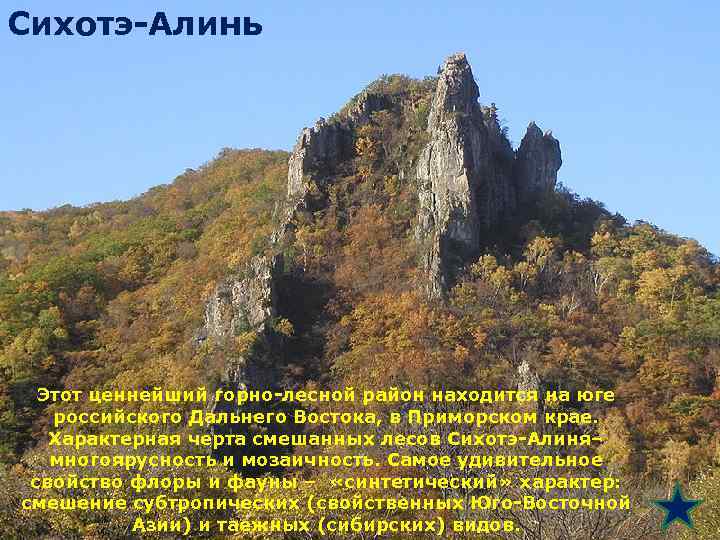 Сихотэ-Алинь Этот ценнейший горно-лесной район находится на юге российского Дальнего Востока, в Приморском крае.