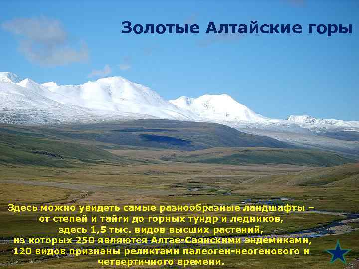 Золотые Алтайские горы Здесь можно увидеть самые разнообразные ландшафты – от степей и тайги