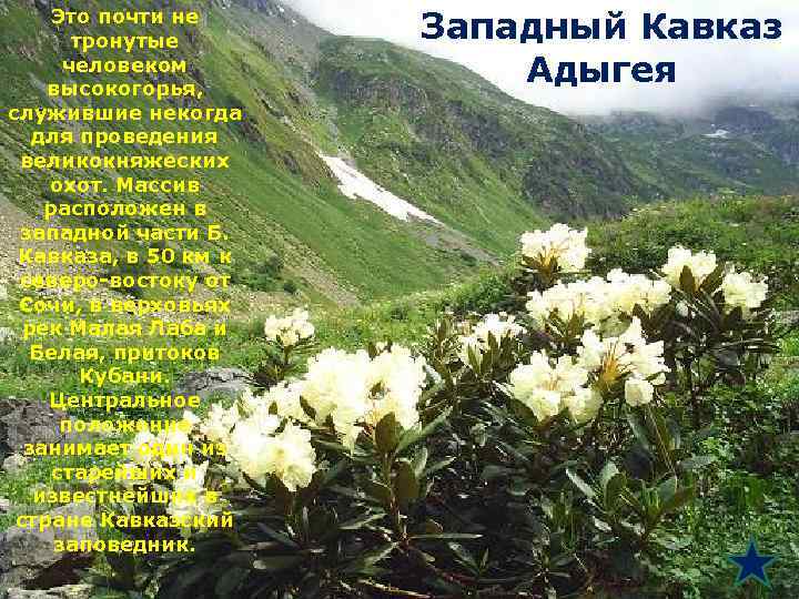 Это почти не тронутые человеком высокогорья, служившие некогда для проведения великокняжеских охот. Массив расположен