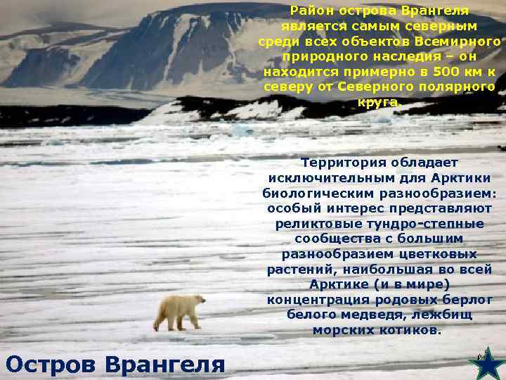 Район острова Врангеля является самым северным среди всех объектов Всемирного природного наследия – он