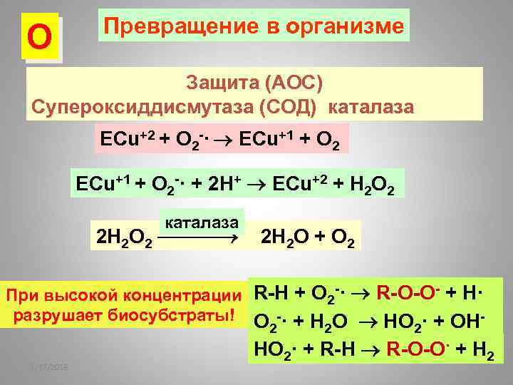 О Превращение в организме Защита (АОС) Супероксиддисмутаза (СОД) каталаза ECu+2 + O 2 -·