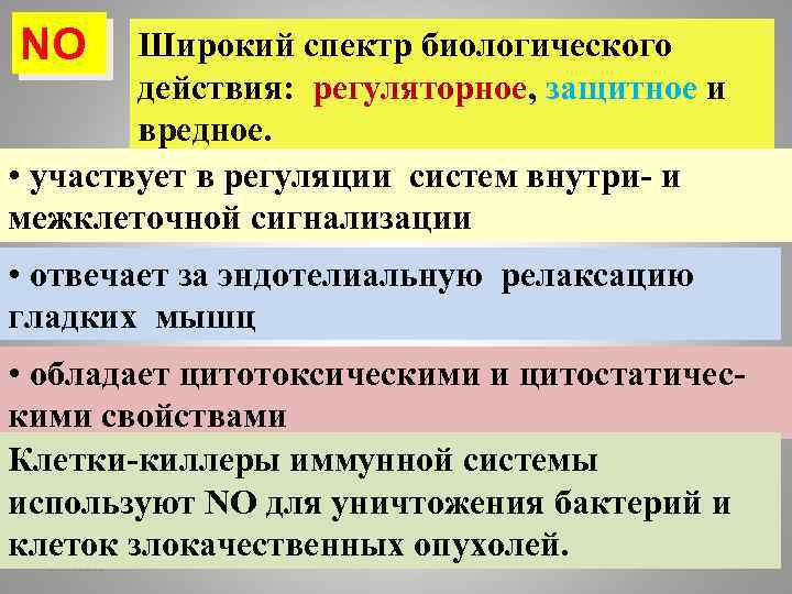 NO Широкий спектр биологического действия: регуляторное, защитное и вредное. • участвует в регуляции систем