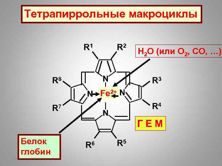 Тетрапиррольные макроциклы R 1 R 2 R 8 Н 2 О (или О 2,