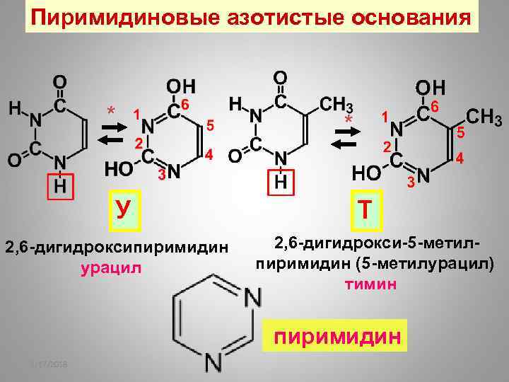 Пиримидиновые основания