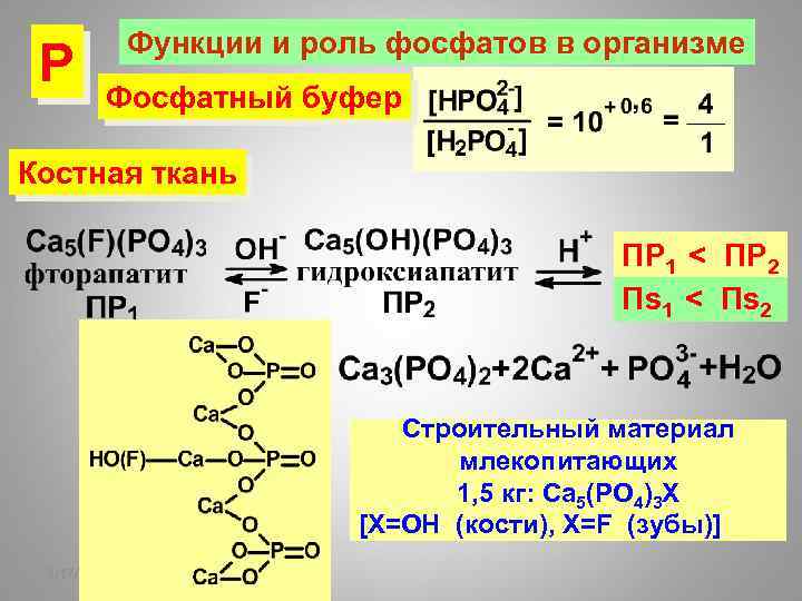 Р Функции и роль фосфатов в организме Фосфатный буфер Костная ткань ПР 1 <