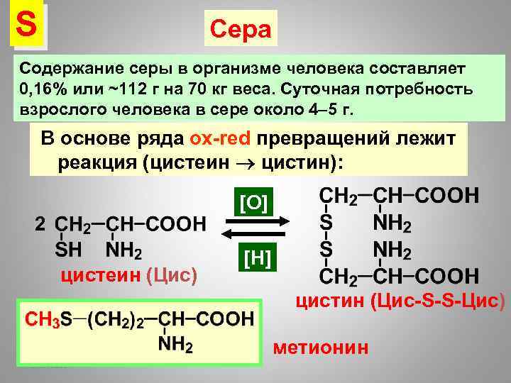 Сера Для Организма Человека Где Купить