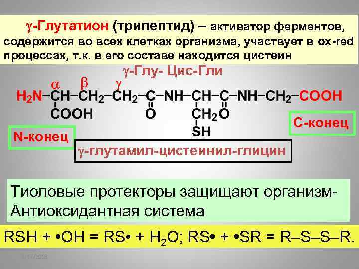  -Глутатион (трипептид) – активатор ферментов, содержится во всех клетках организма, участвует в ox-red