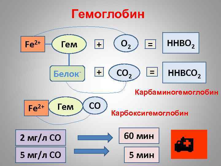 Гемоглобин Гем + О 2 = ННBO 2 Белок- Fe 2+ + CО 2