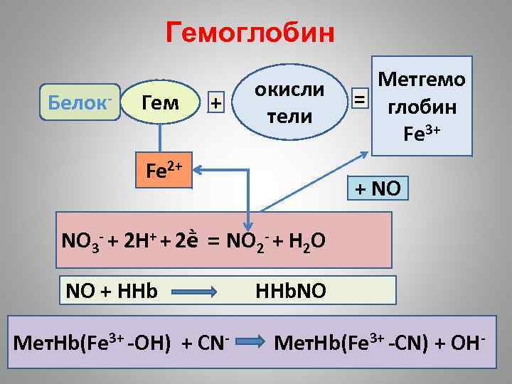 Гемоглобин Белок- Гем + окисли тели Fe 2+ Метгемо = глобин Fe 3+ +