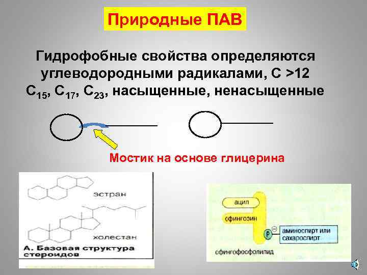 Природные ПАВ Гидрофобные свойства определяются углеводородными радикалами, С >12 С 15, С 17, С