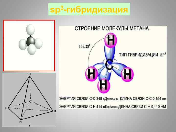 sp 3 -гибридизация 2/17/2018 