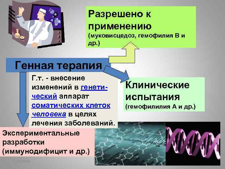 Разрешено к применению (муковисцедоз, гемофилия В и др. ) Генная терапия Г. т. -