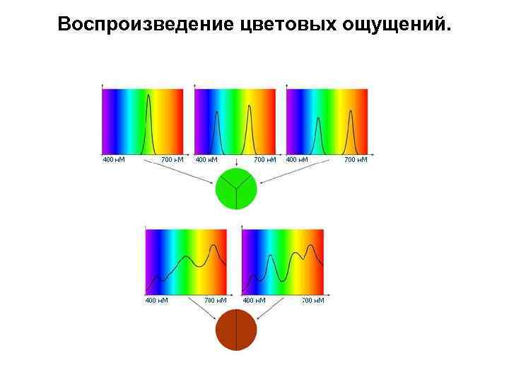 Воспроизведение цветовых ощущений. 