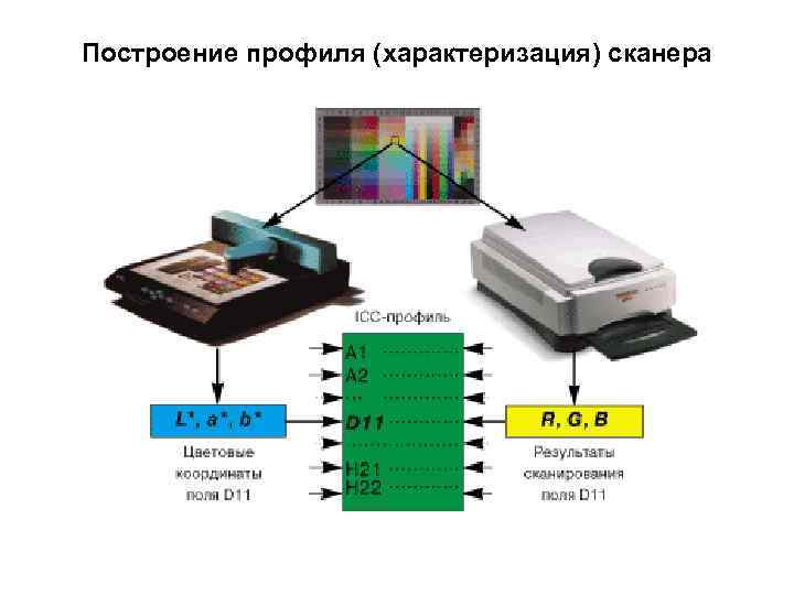 Оцифровка результатов