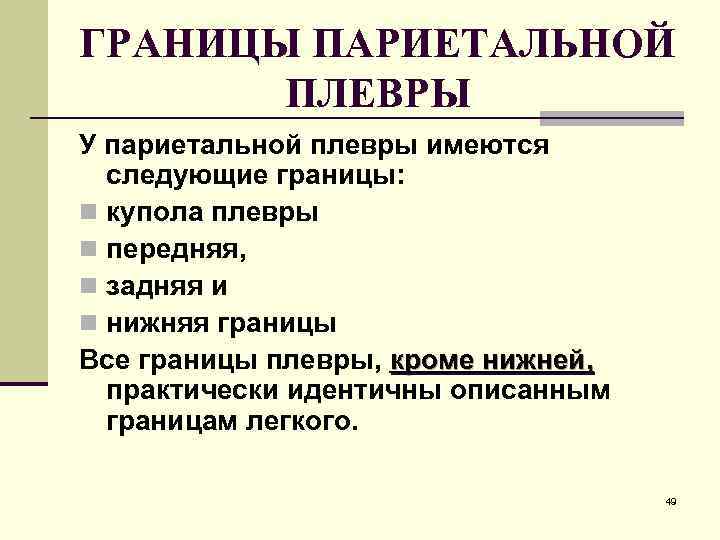 ГРАНИЦЫ ПАРИЕТАЛЬНОЙ ПЛЕВРЫ У париетальной плевры имеются следующие границы: n купола плевры n передняя,