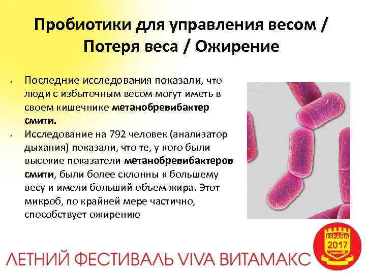 Пробиотики для управления весом / Потеря веса / Ожирение • • Последние исследования показали,