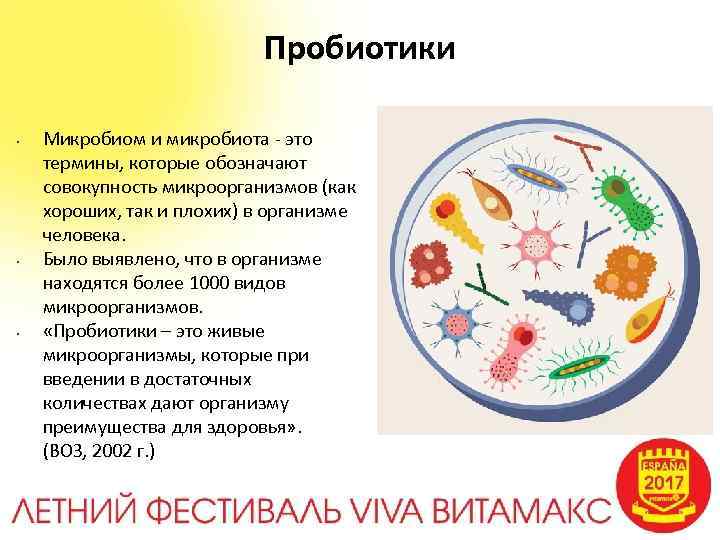 Пробиотики Микробиом и микробиота - это термины, которые обозначают совокупность микроорганизмов (как хороших, так