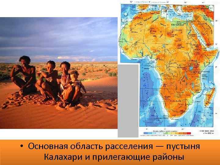  • Основная область расселения — пустыня Калахари и прилегающие районы 