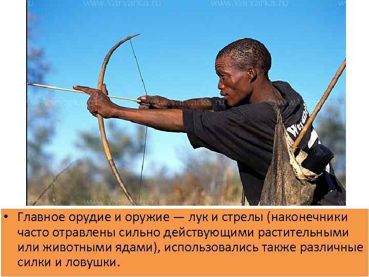  • Главное орудие и оружие — лук и стрелы (наконечники часто отравлены сильно