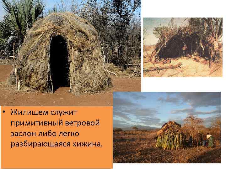  • Жилищем служит примитивный ветровой заслон либо легко разбирающаяся хижина. 