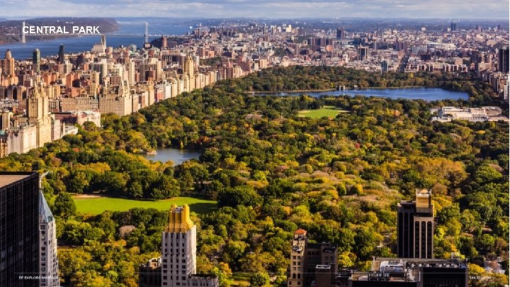 CENTRAL PARK 