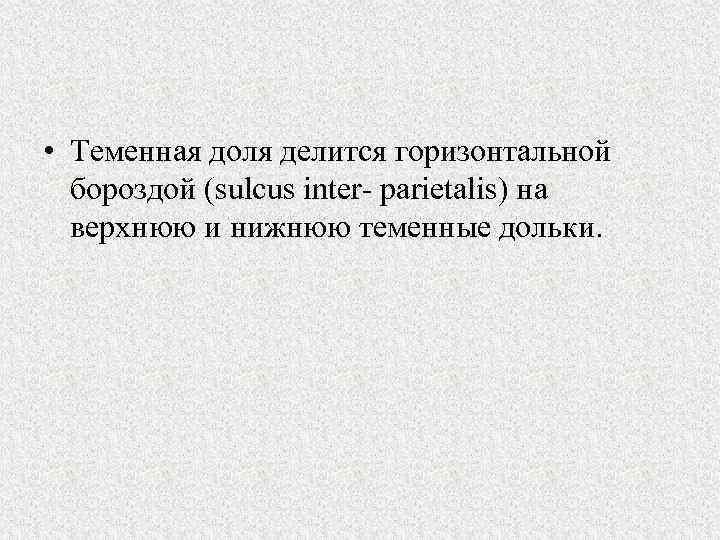  • Теменная доля делится горизонтальной бороздой (sulcus inter parietalis) на верхнюю и нижнюю