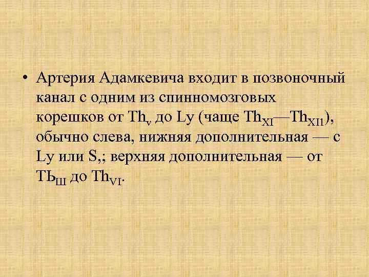  • Артерия Адамкевича входит в позвоночный канал с одним из спинномозговых корешков от