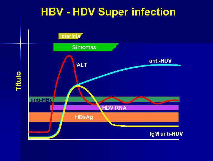 HBV - HDV Super infection icterícia Sintomas anti-HDV Título ALT anti-HBc HDV RNA HBs.