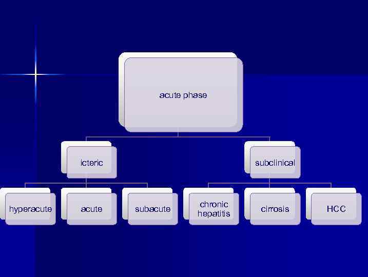 acute phase icteric hyperacute subclinical subacute chronic hepatitis cirrosis HCC 