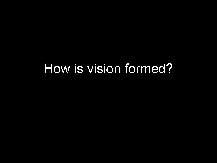 How is vision formed? 